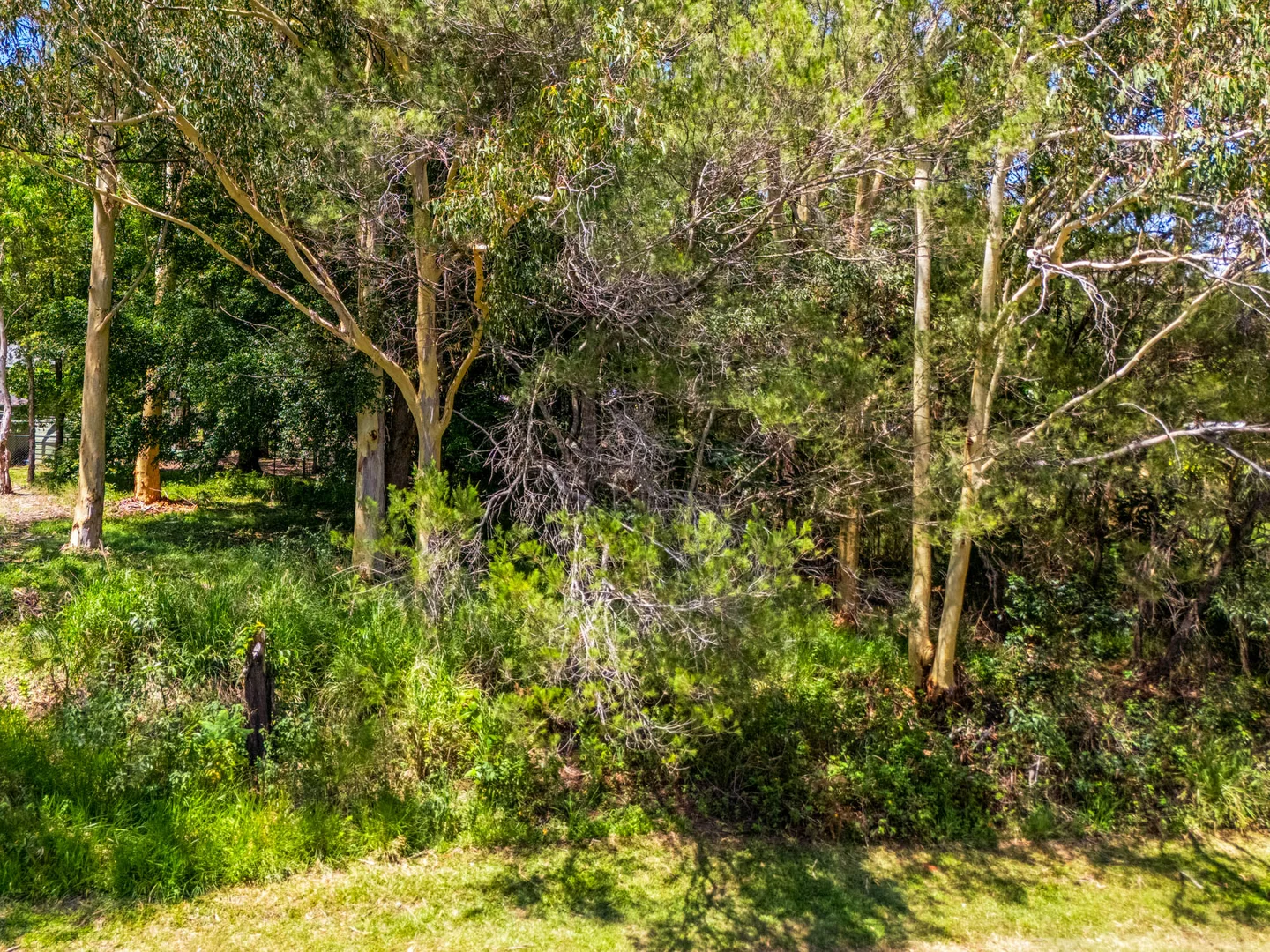 Additional image 2 of 22 Barcelona Terrace, Russell Island QLD 4184