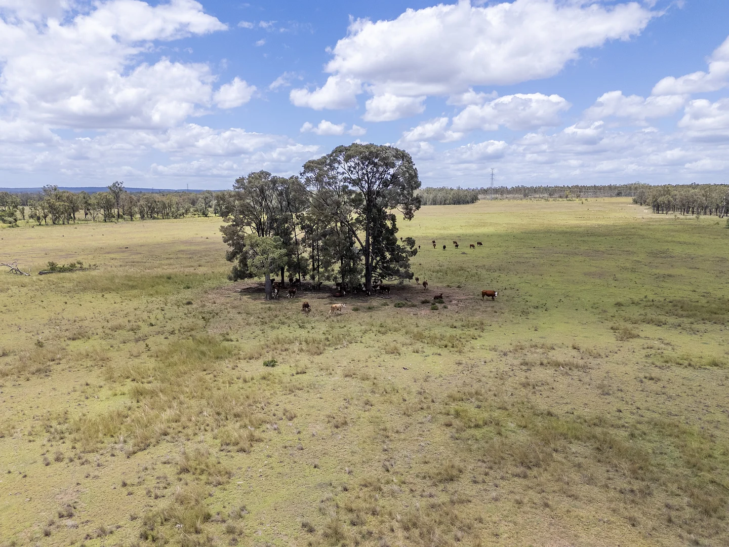 Additional image 12 of 8619 Mundubbera Durong Road, Boondooma QLD 4613