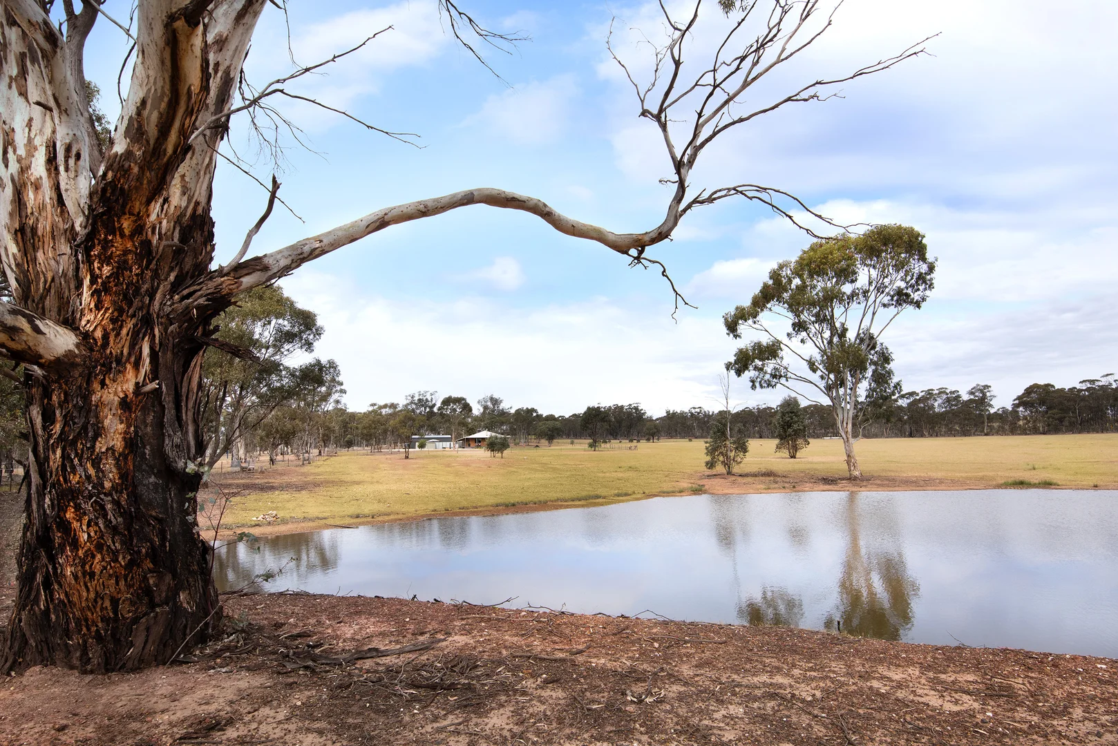 Additional image 23 of 234 Nixons Road, Shelbourne VIC 3515