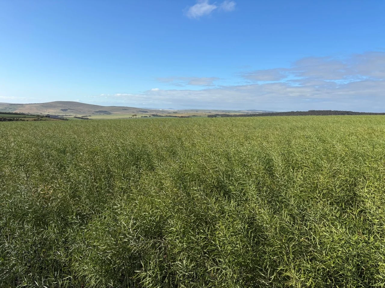 Additional image 33 of 251 Reservoir Drive, Whites Flat SA 5607