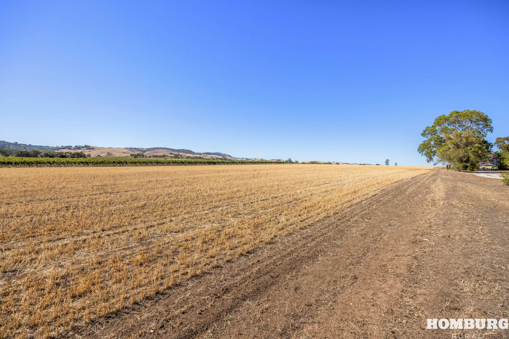 Additional image 30 of 182 Bethany Road, Bethany SA 5352