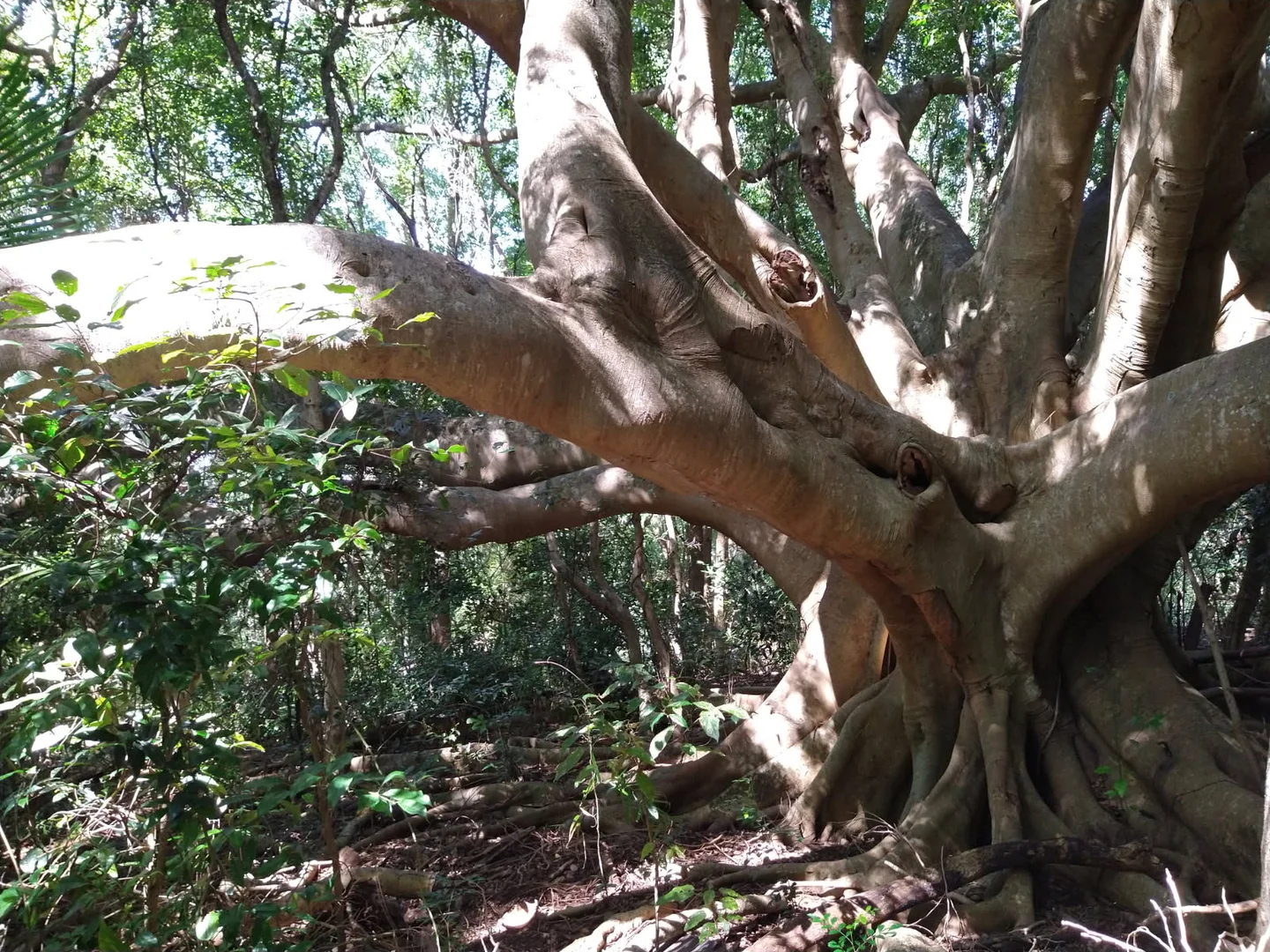 Additional image 5 of 70 North Teven Road, Teven NSW 2478