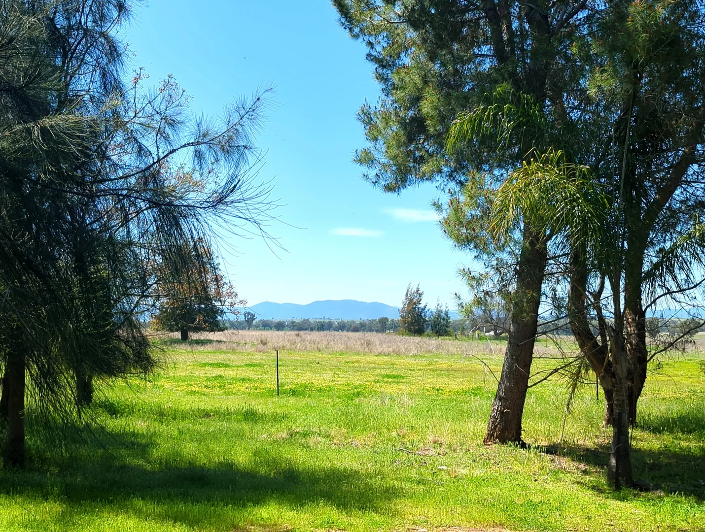 Additional image 11 of 5082 Werris Creek Road, Warral NSW 2340