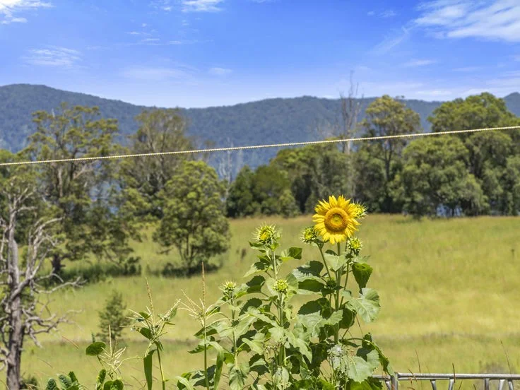 Additional image 15 of 495 Brays Creek Road, Pumpenbil NSW 2484