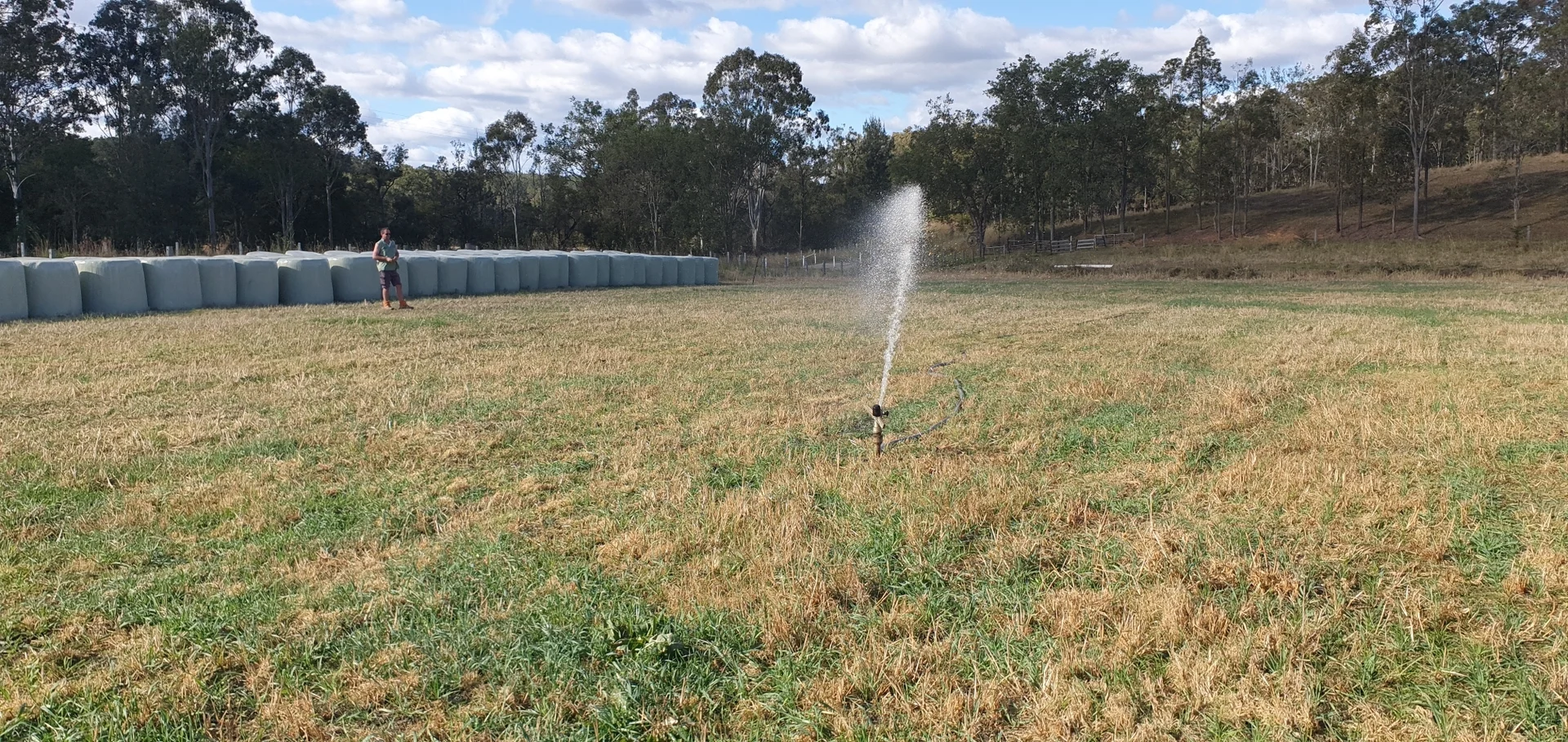 Additional image 27 of 1139 Old Dyraaba Rd, Lower Dyraaba NSW 2470