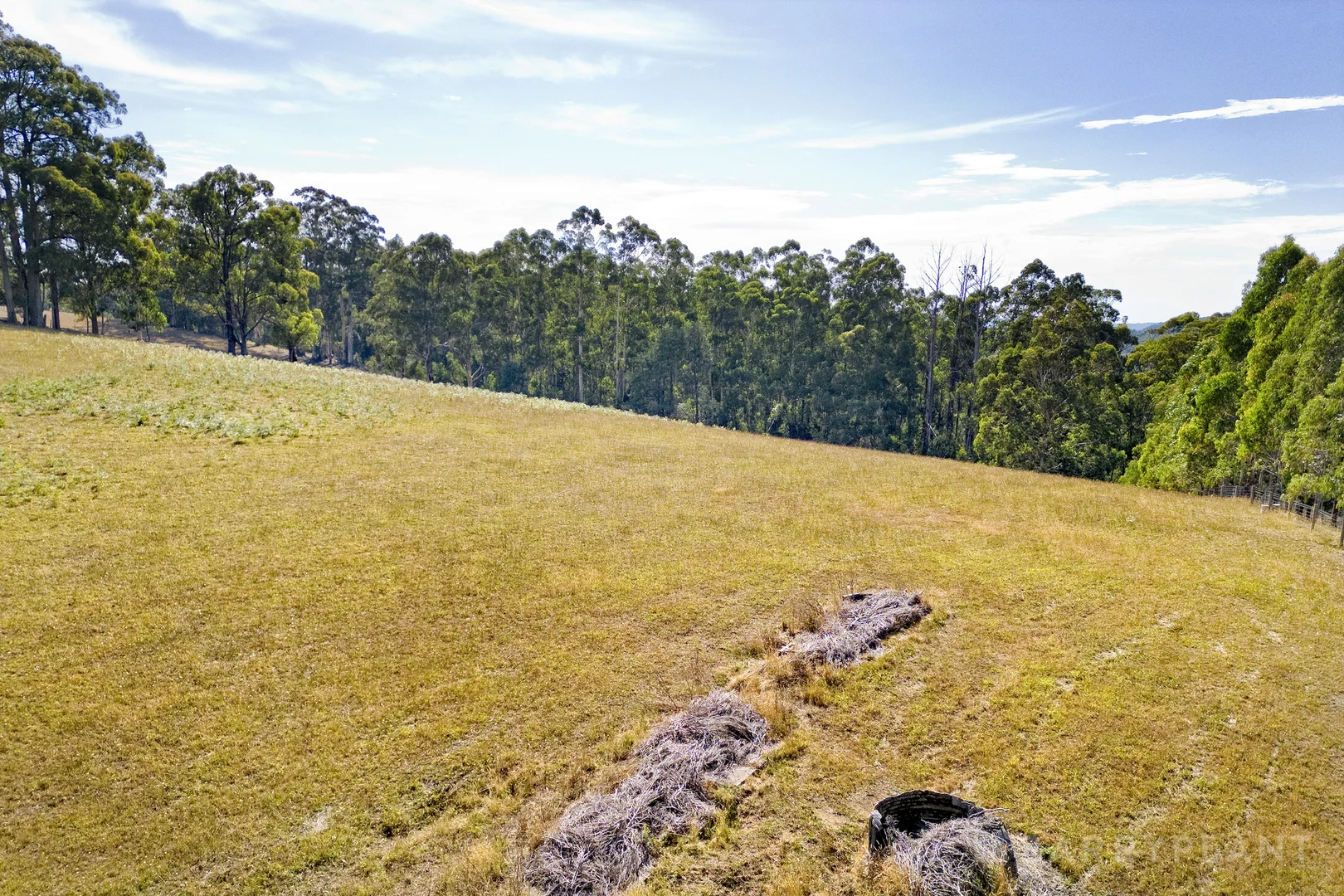 Additional image 6 of 90 Grey Road, Gembrook VIC 3783