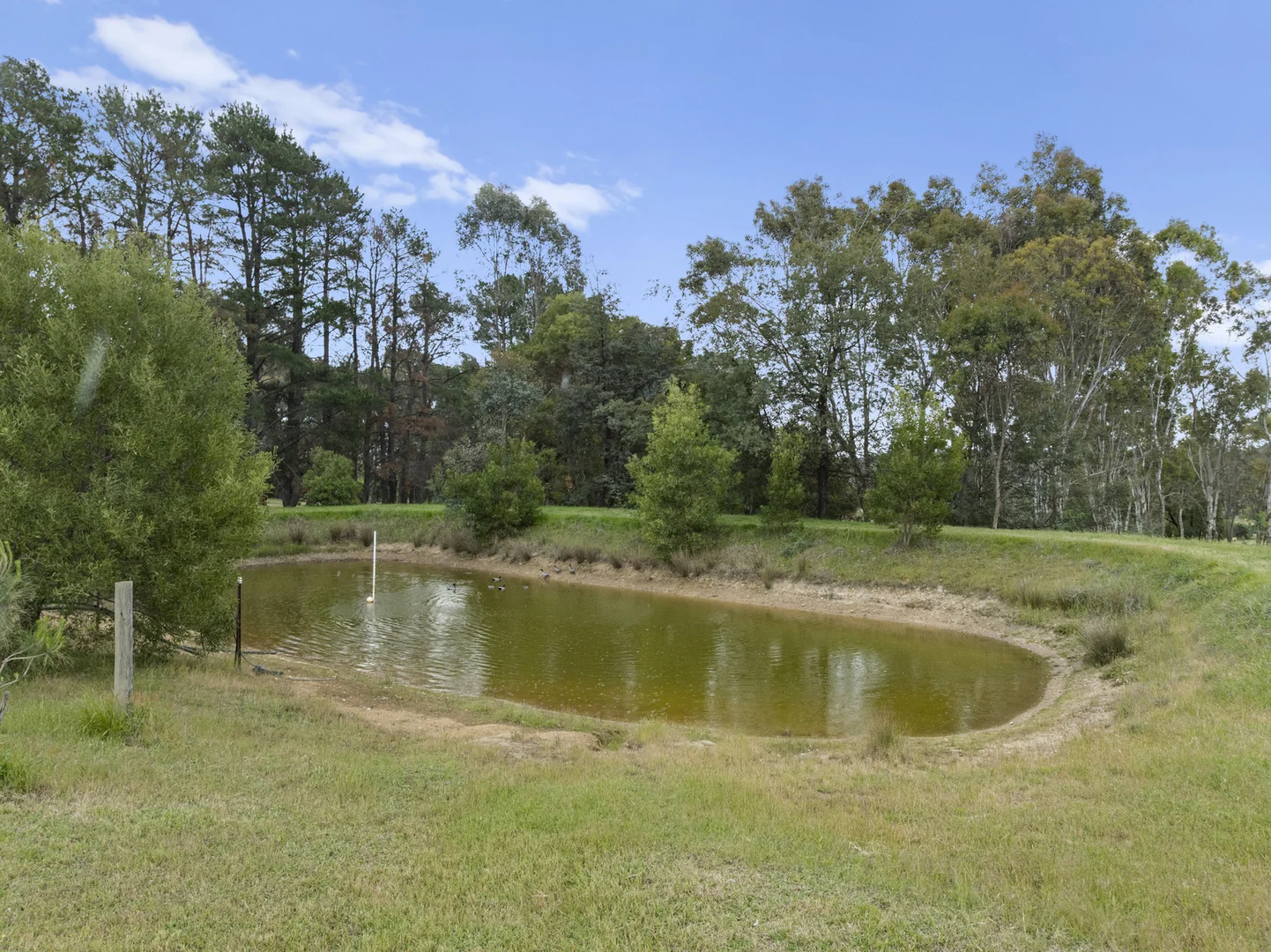 Additional image 19 of 228 Gandini Lane, Lima East VIC 3673