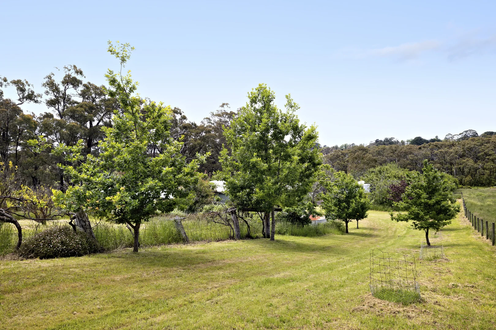 Additional image 14 of 70 Andrews Lane, Red Hill VIC 3937