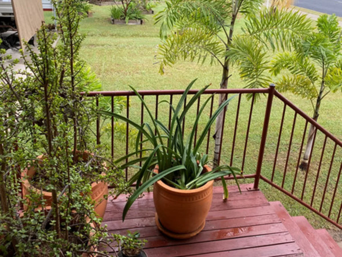 Additional image 3 of 23 Hannah Crescent, Dysart QLD 4745