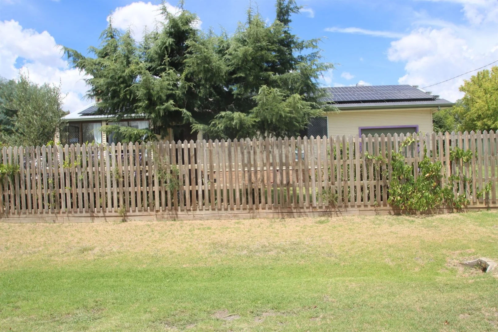 Additional image 2 of 119 Molesworth Street, Tenterfield NSW 2372