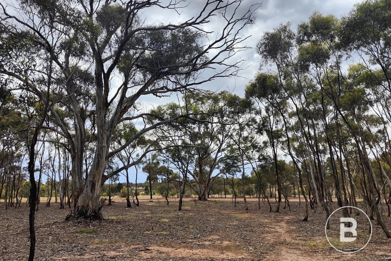 Additional image 10 of 107 Glenisters Gap Road, Navarre VIC 3384