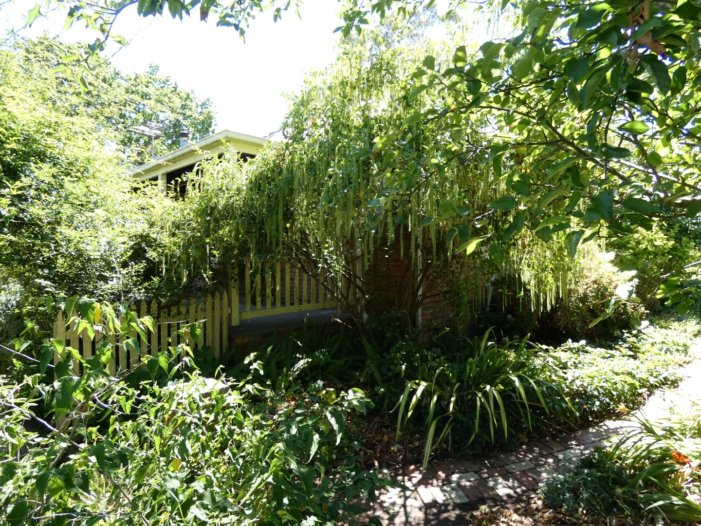 Additional image 23 of 14 Gardiner Street, Lilydale VIC 3140