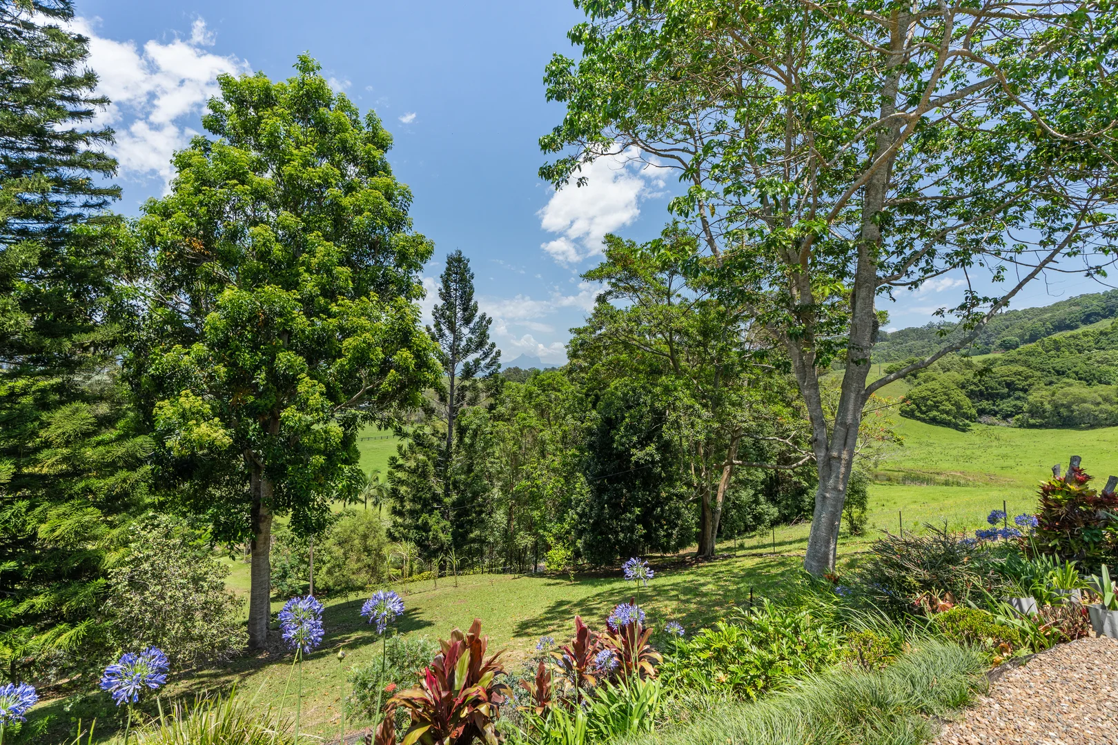 Additional image 27 of 1130 Terranora Road, North Tumbulgum NSW 2490