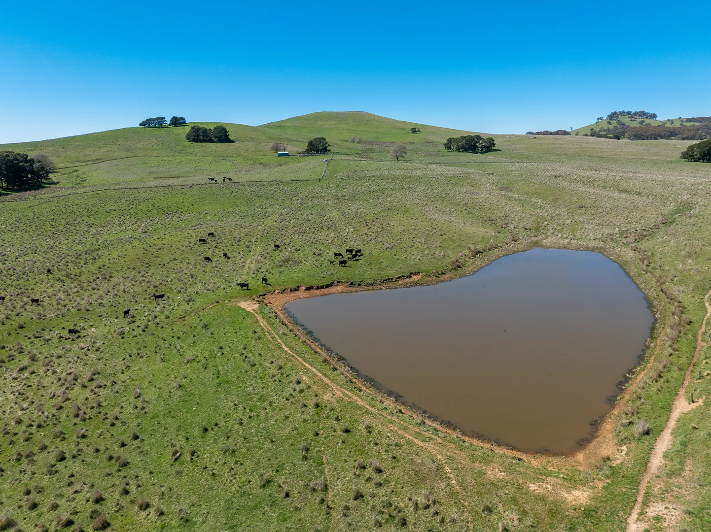 Additional image 21 of 242 Bundaleer Road, Newbridge NSW 2795