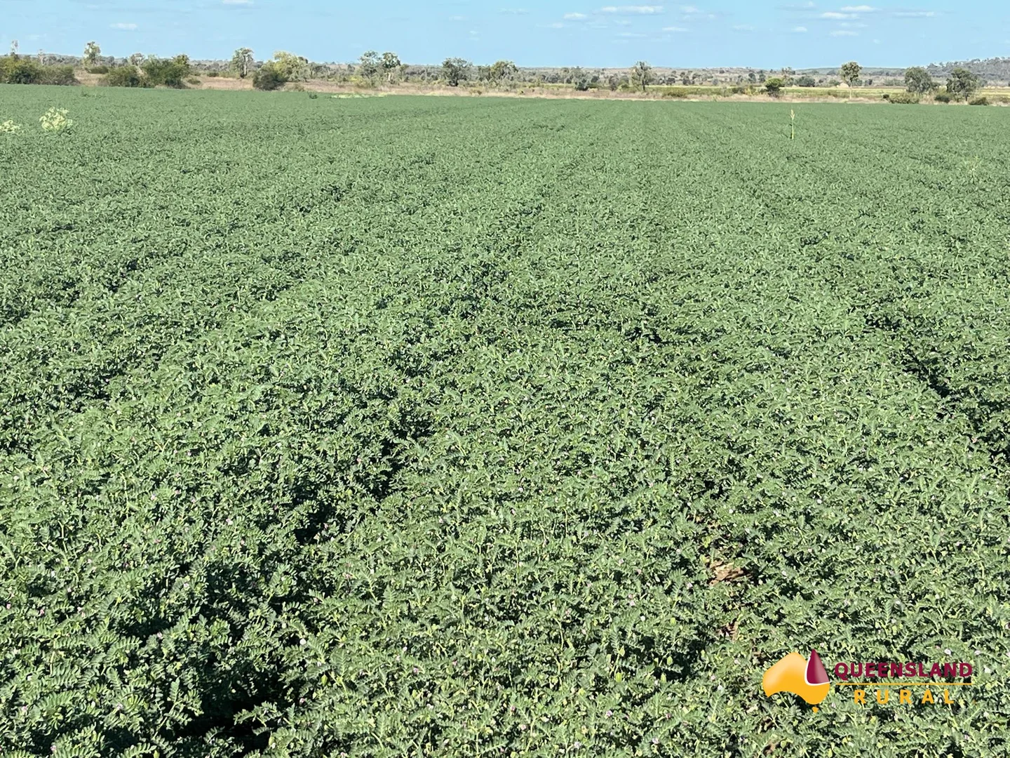 Additional image 18 of Llanarth QLD 4820