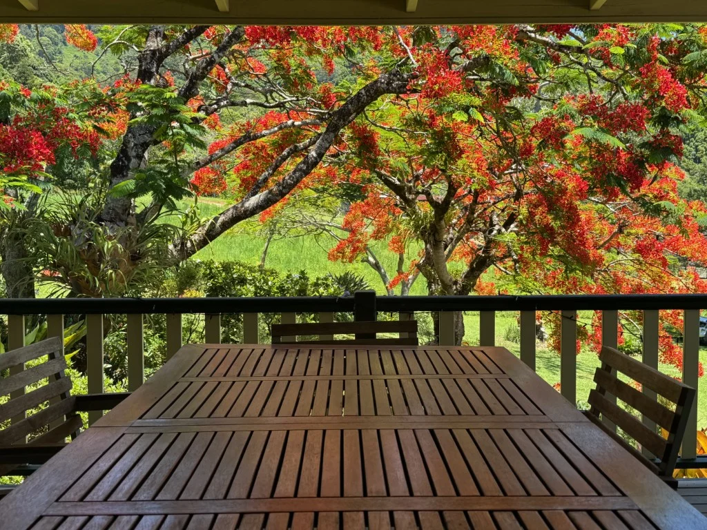 Additional image 8 of 197 Palmwoods Road, Palmwoods NSW 2482