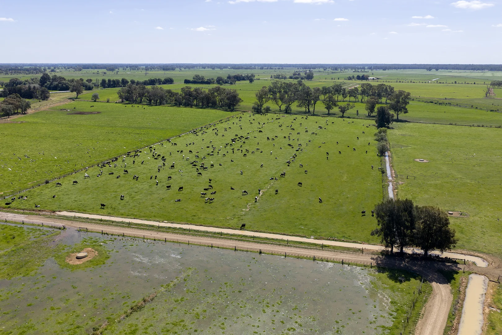 Additional image 11 of 1563 Scobie Road, Tongala VIC 3621