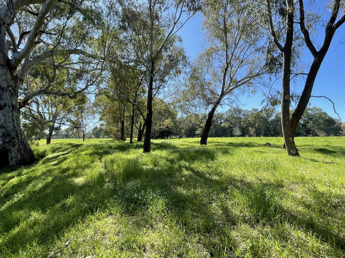 Additional image 42 of 44 Dodd Street, Gundagai NSW 2722