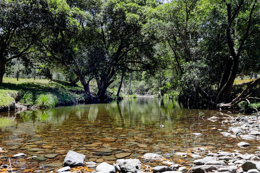 Additional image 27 of 147 Rosses Road, Gloucester NSW 2422