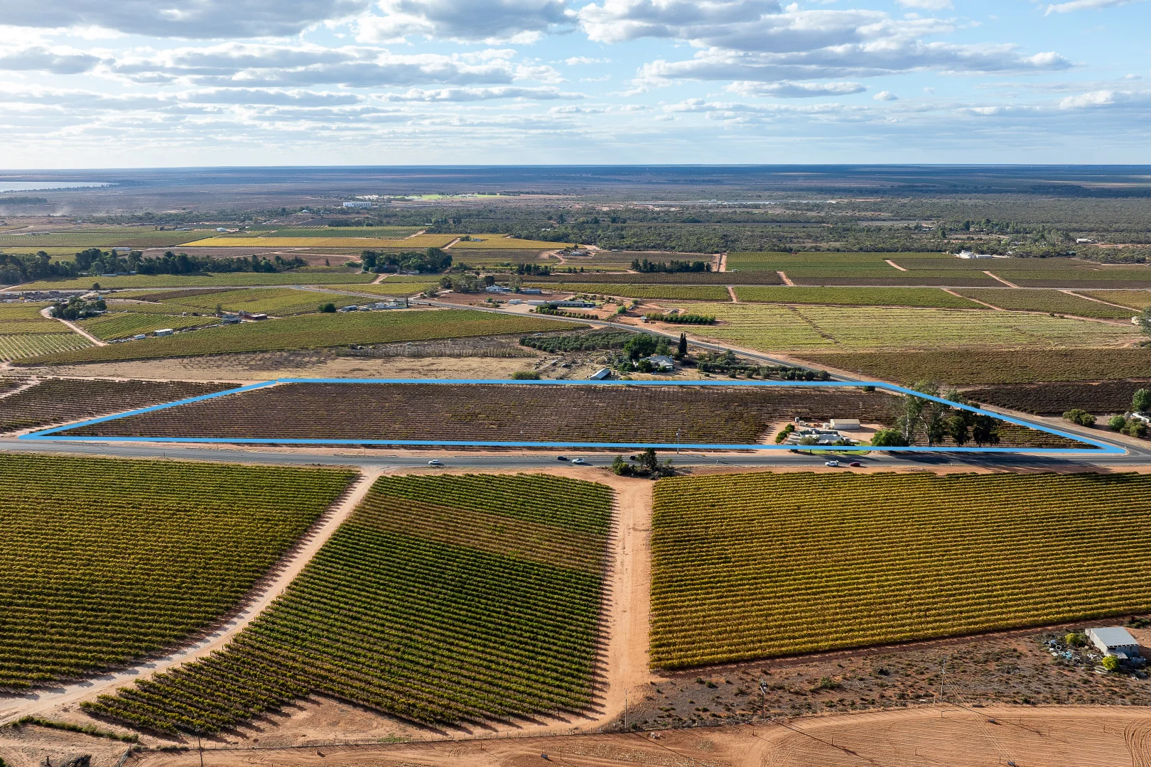 Additional image 11 of 213 Old Sturt Highway, Barmera SA 5345