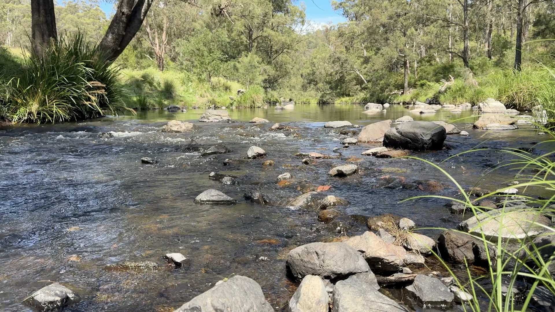 191 Sheepstation Creek Road, Dundurrabin NSW 2453