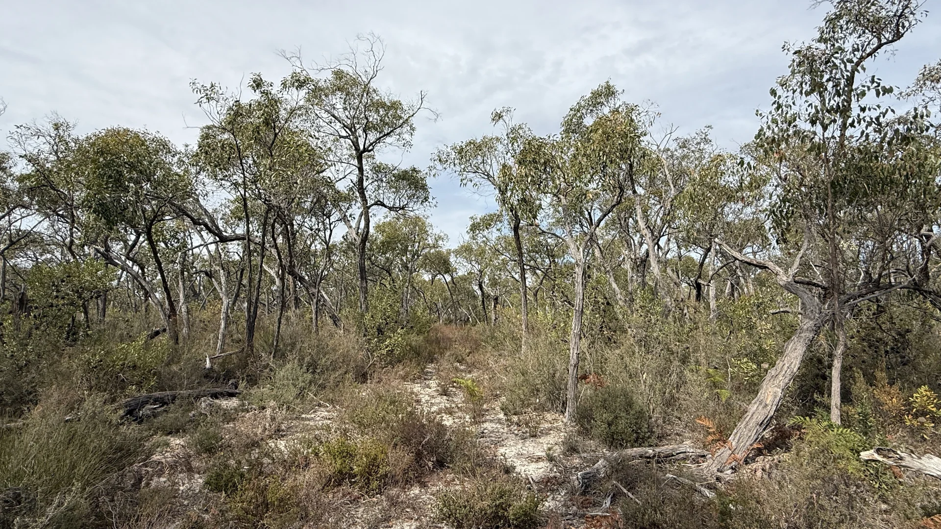 Additional image 8 of Lot 1 Jim Ryans Road, Edenhope VIC 3318