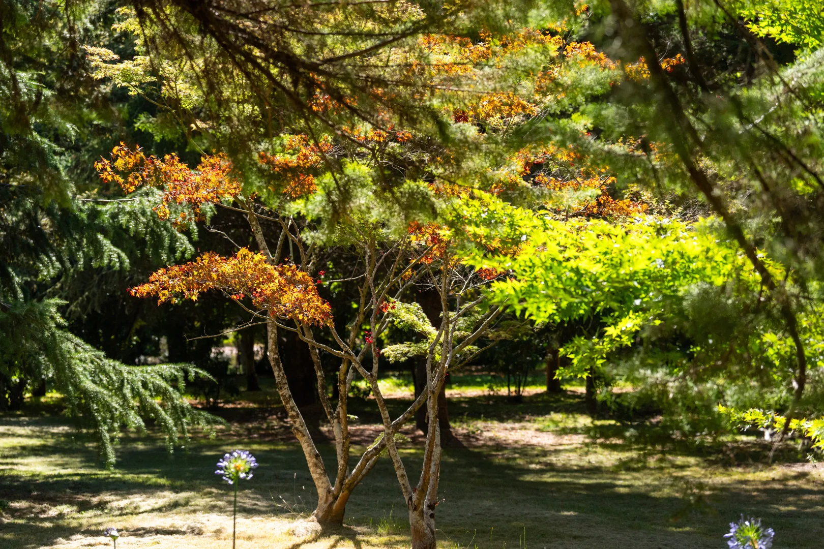 Additional image 5 of 192 Myrtleford-Stanley Road, Stanley VIC 3747