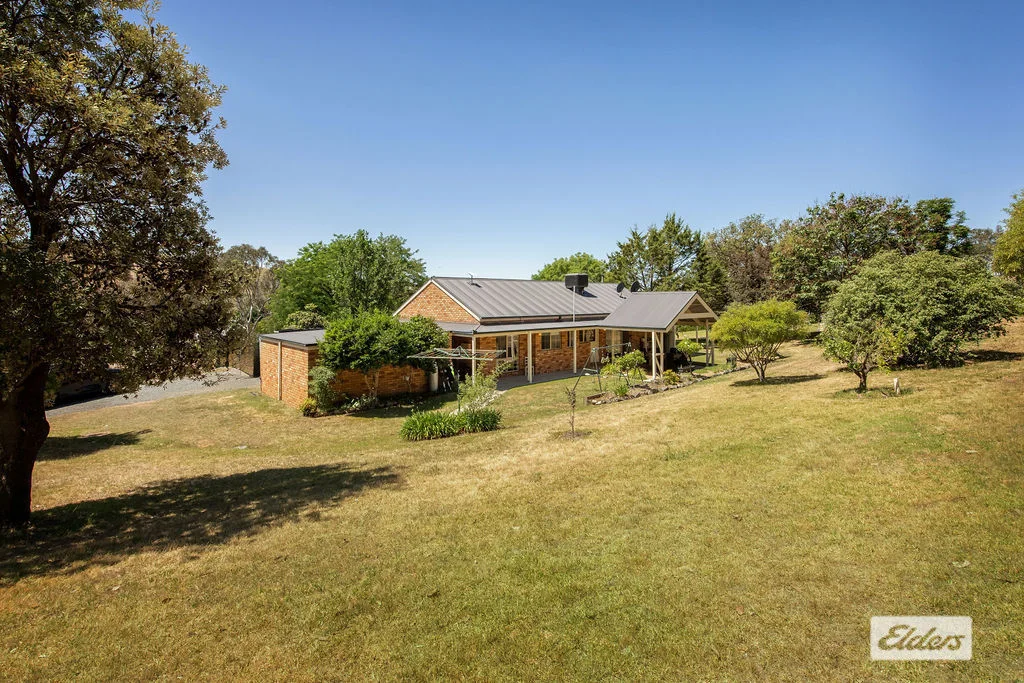 Additional image 17 of 14 Edward Street, Woomargama NSW 2644