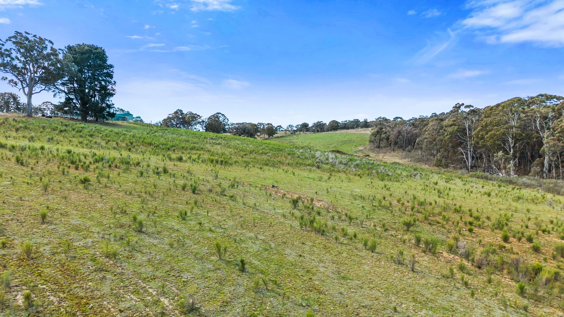 Additional image 8 of 5733-5734 Abercrombie Road, Paling Yards NSW 2580