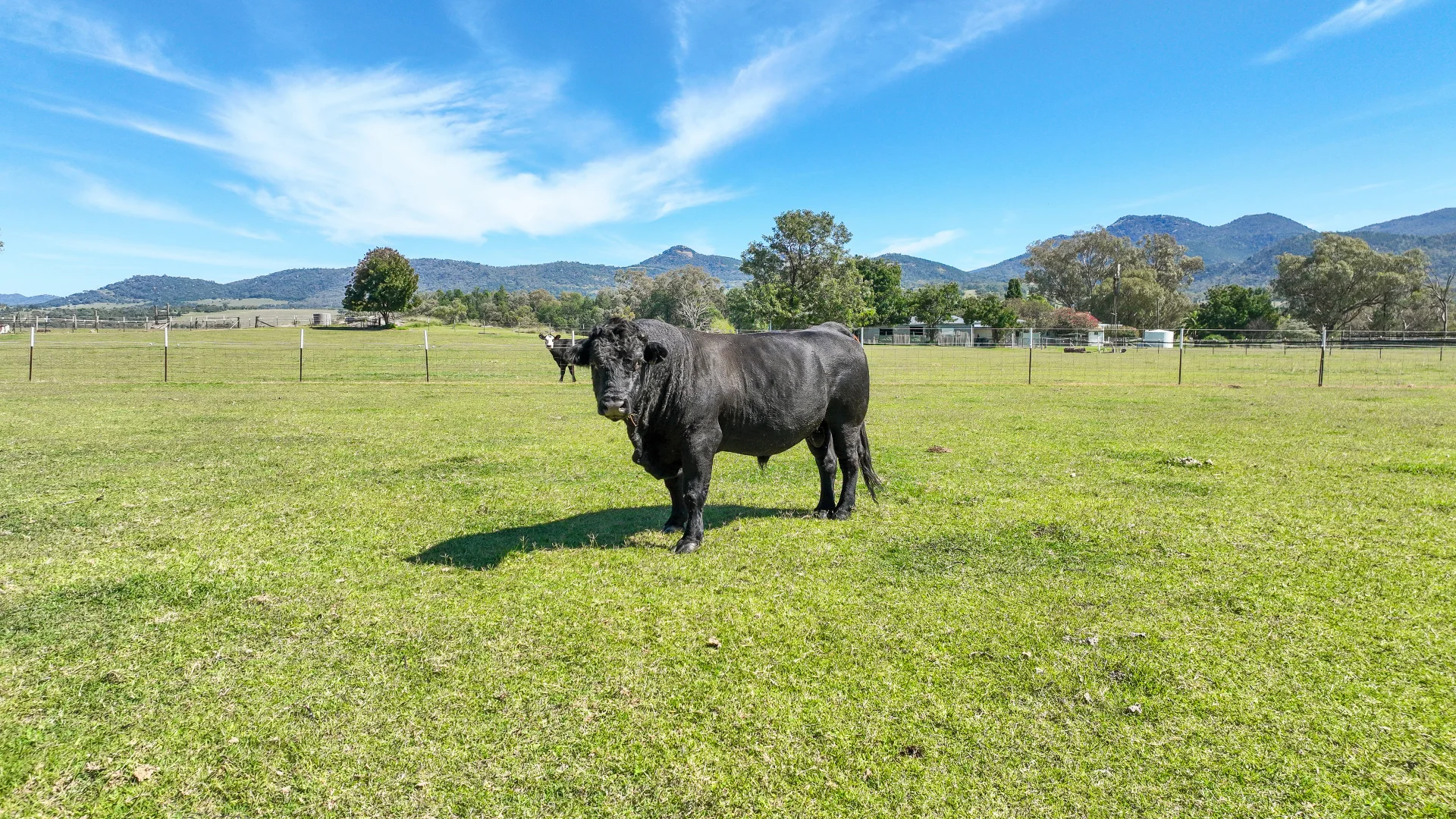 Additional image 18 of 2174 New England Highway, Moonbi NSW 2353
