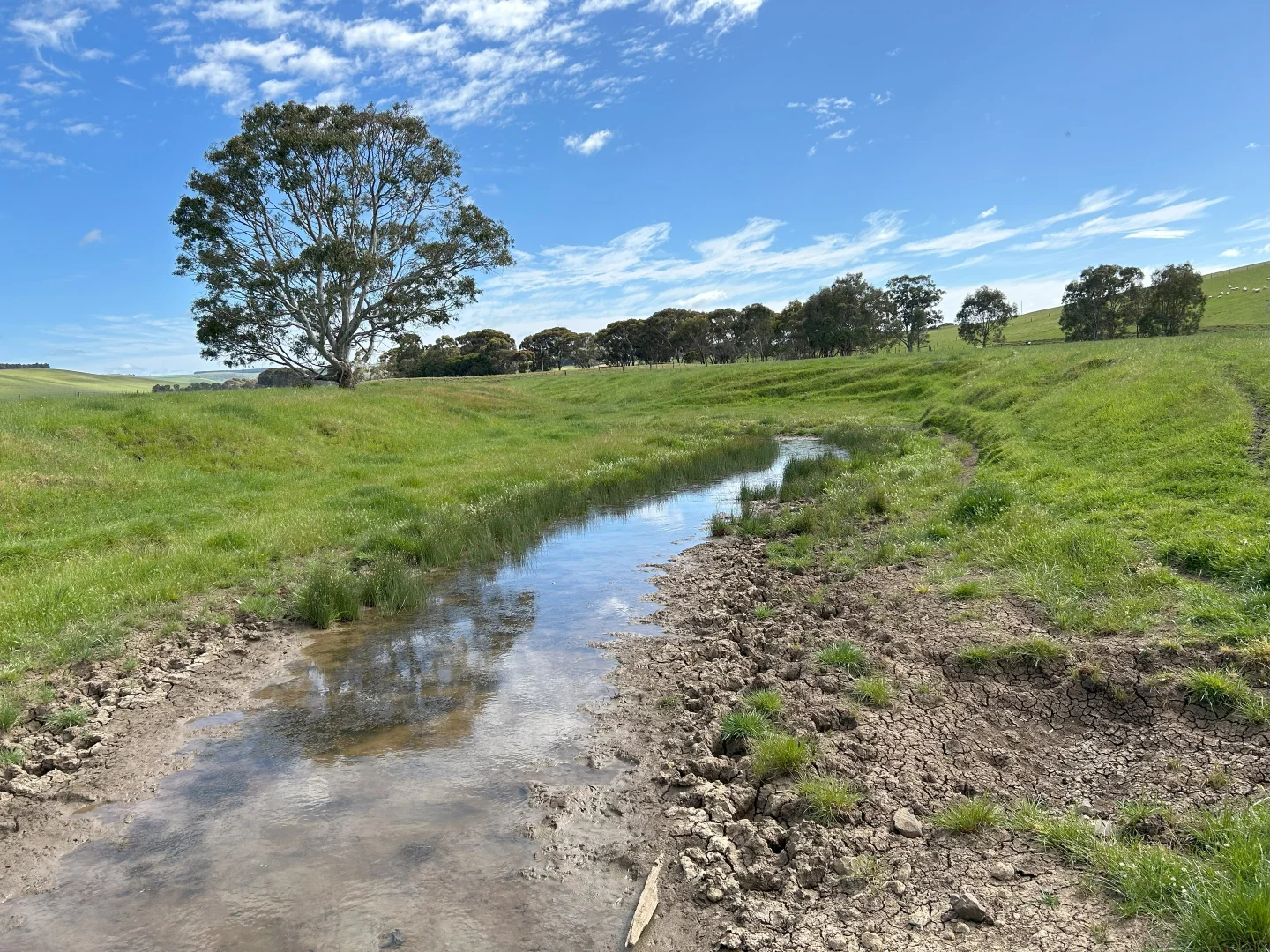 Additional image 9 of Cnr Glenelg Highway and Denhills Road, Coleraine VIC 3315
