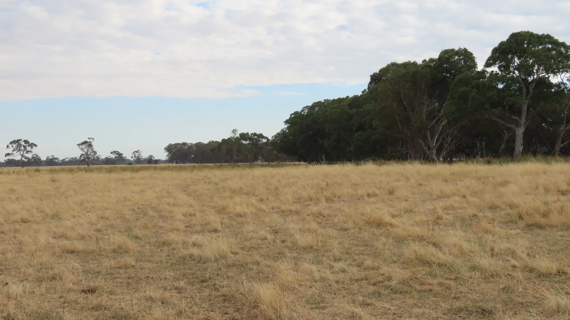 Additional image 27 of 110 Coote Rd, Moerlong SA 5278