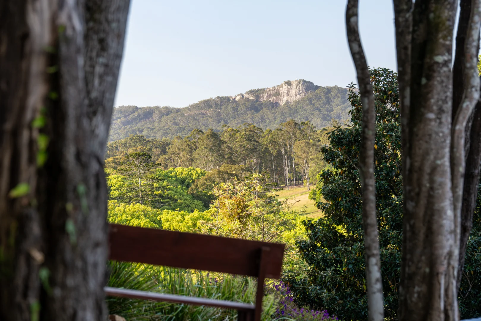 Additional image 3 of 134 Tunba Ct, Cooroy Mountain QLD 4563