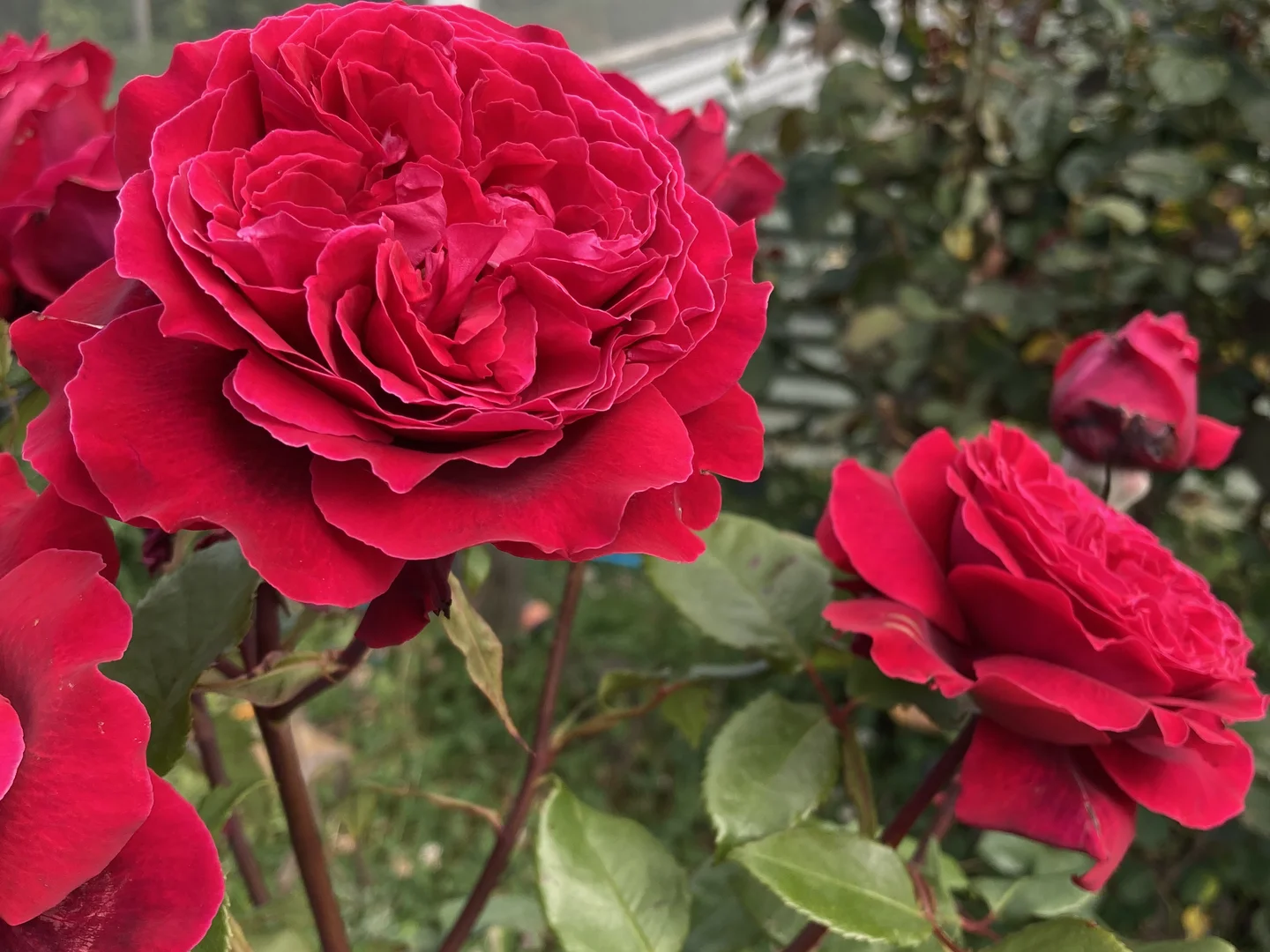 Additional image 33 of 211 Upper Scotchtown Road, Scotchtown TAS 7330