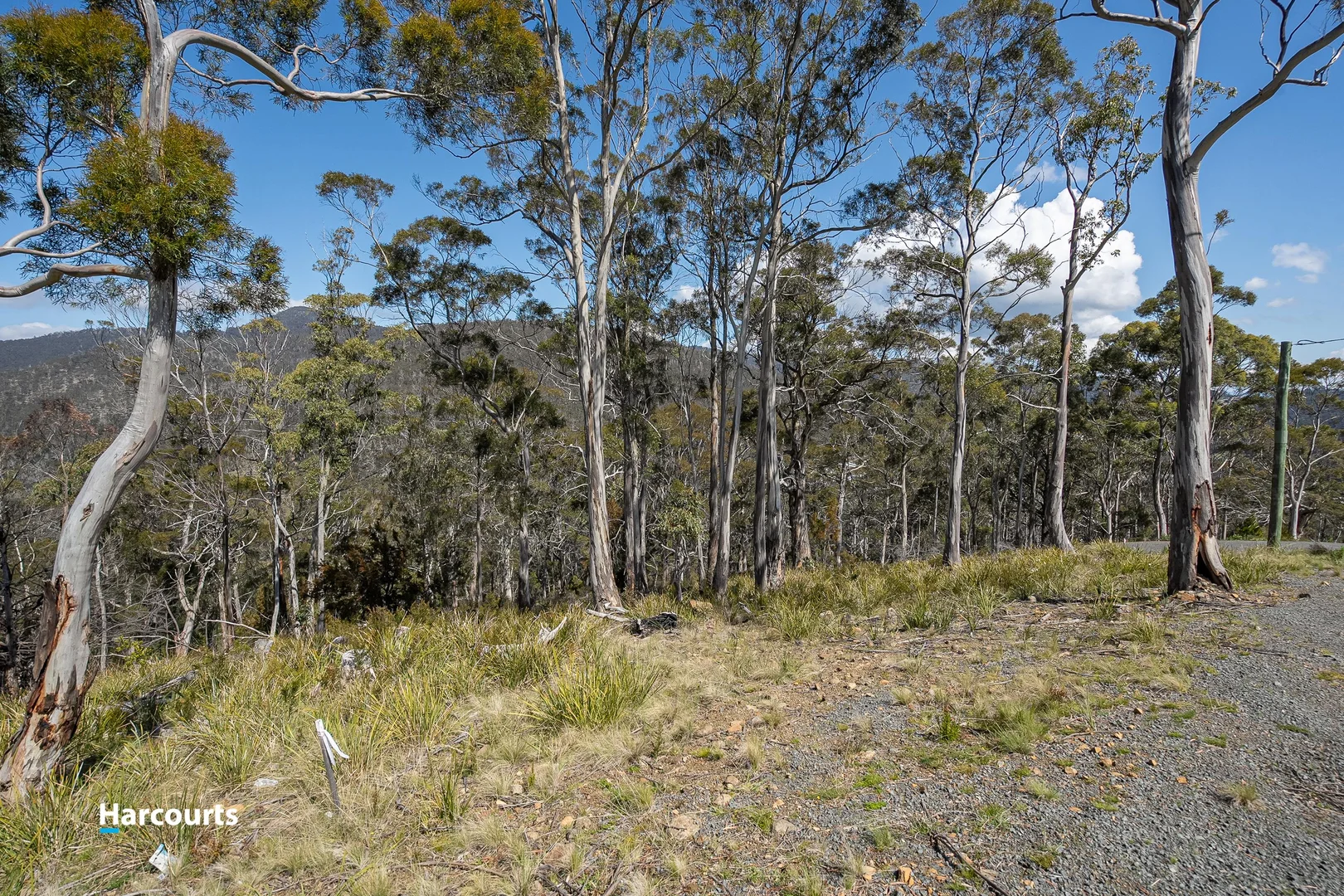 Additional image 7 of 54 Bull Oak Way, Grove TAS 7109