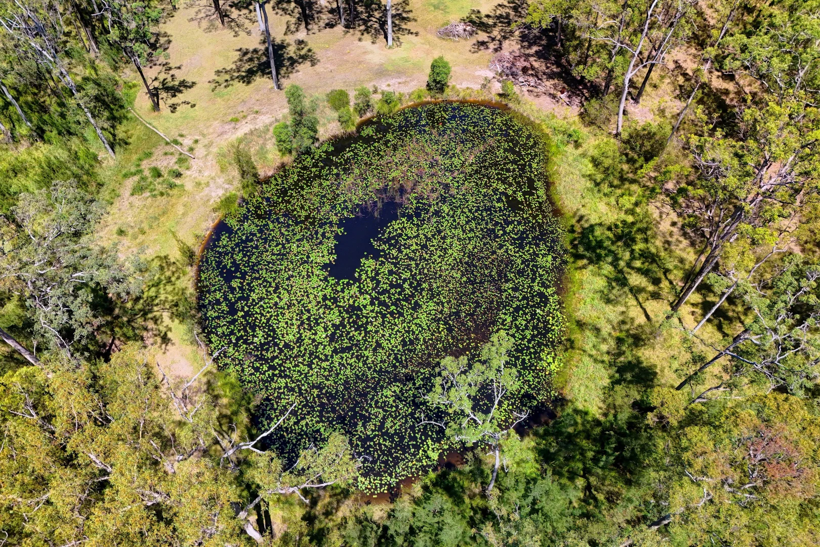 Additional image 20 of 18 Holden Road, Rainbow Flat NSW 2430