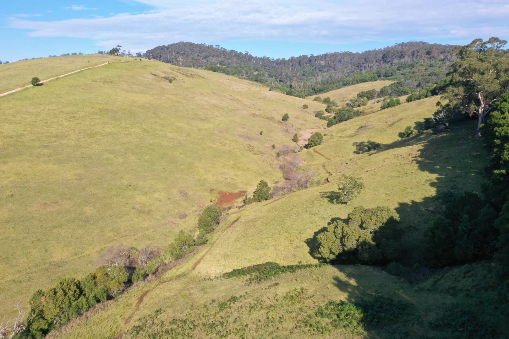 Additional image 18 of Lot 23 Fourter Road, Nethercote NSW 2549