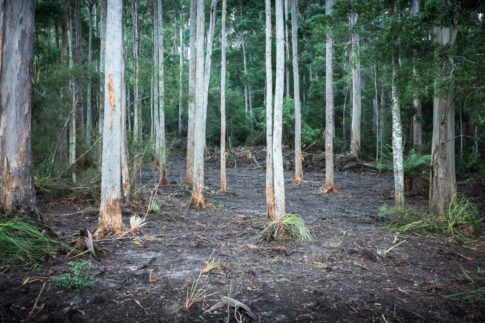 Additional image 9 of 6744 Arthur Highway, Port Arthur TAS 7182