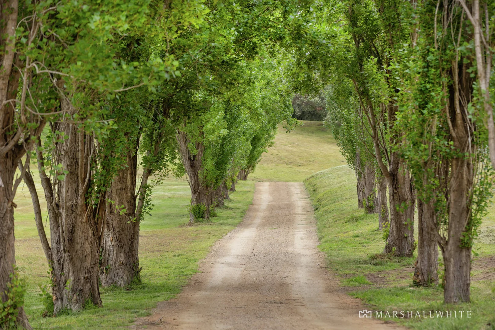 Additional image 3 of 540 Truemans Road, Fingal VIC 3939