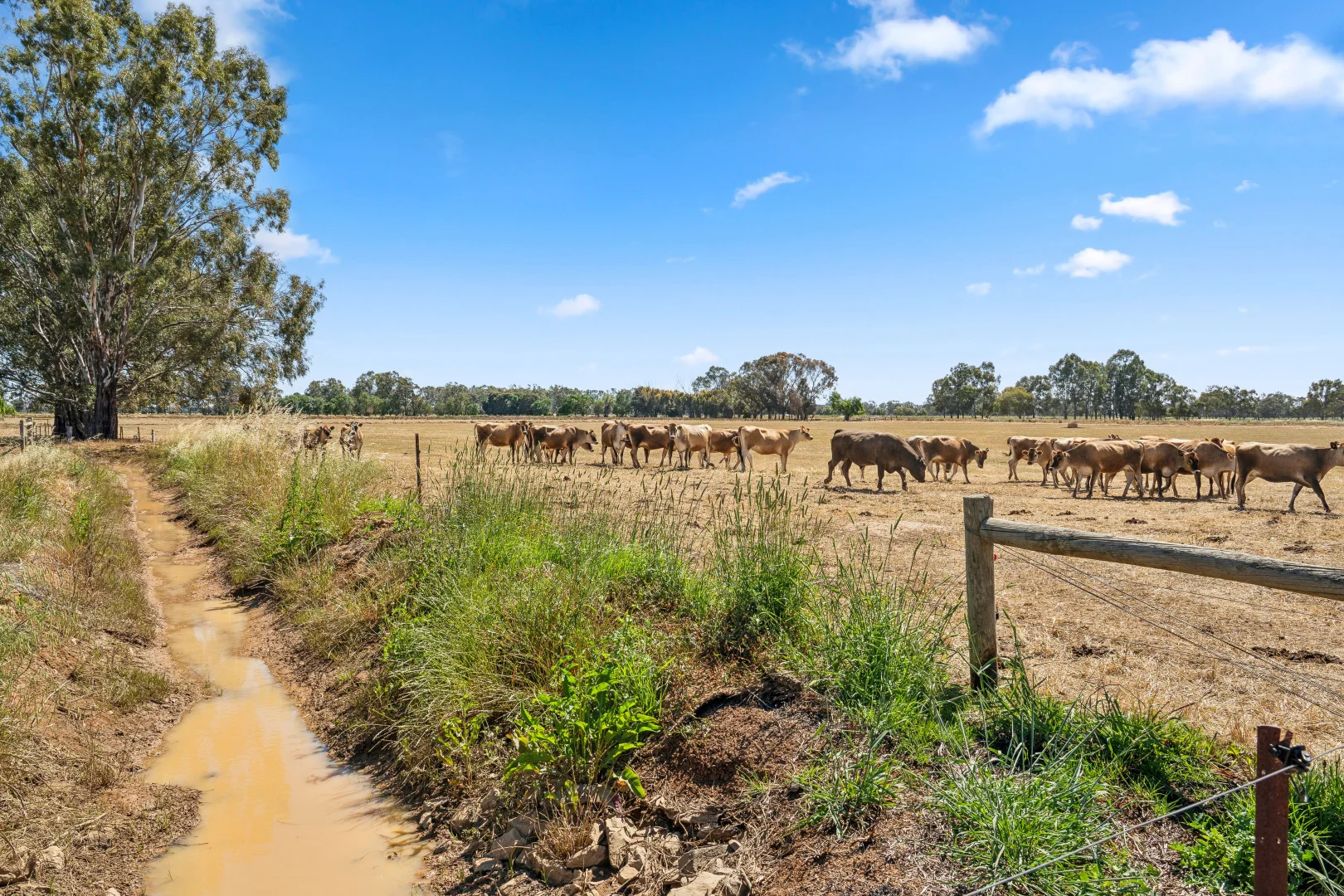 Additional image 16 of 250 Davies Road, Byrneside VIC 3617