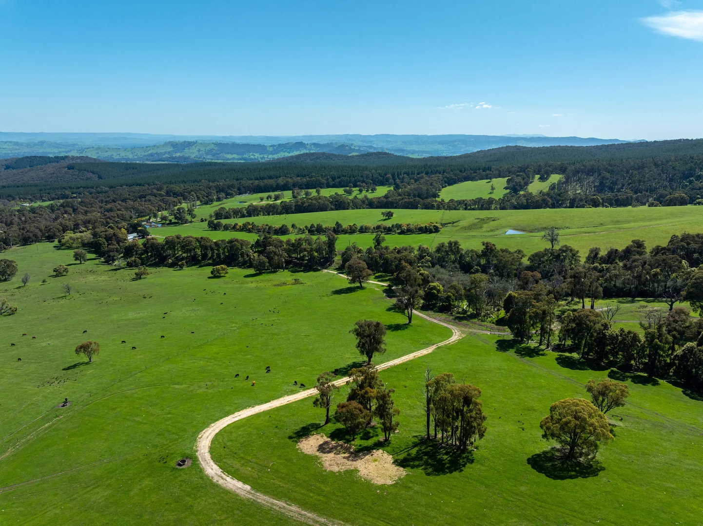 Additional image 5 of 682 Cathedral Lane, Taggerty VIC 3714