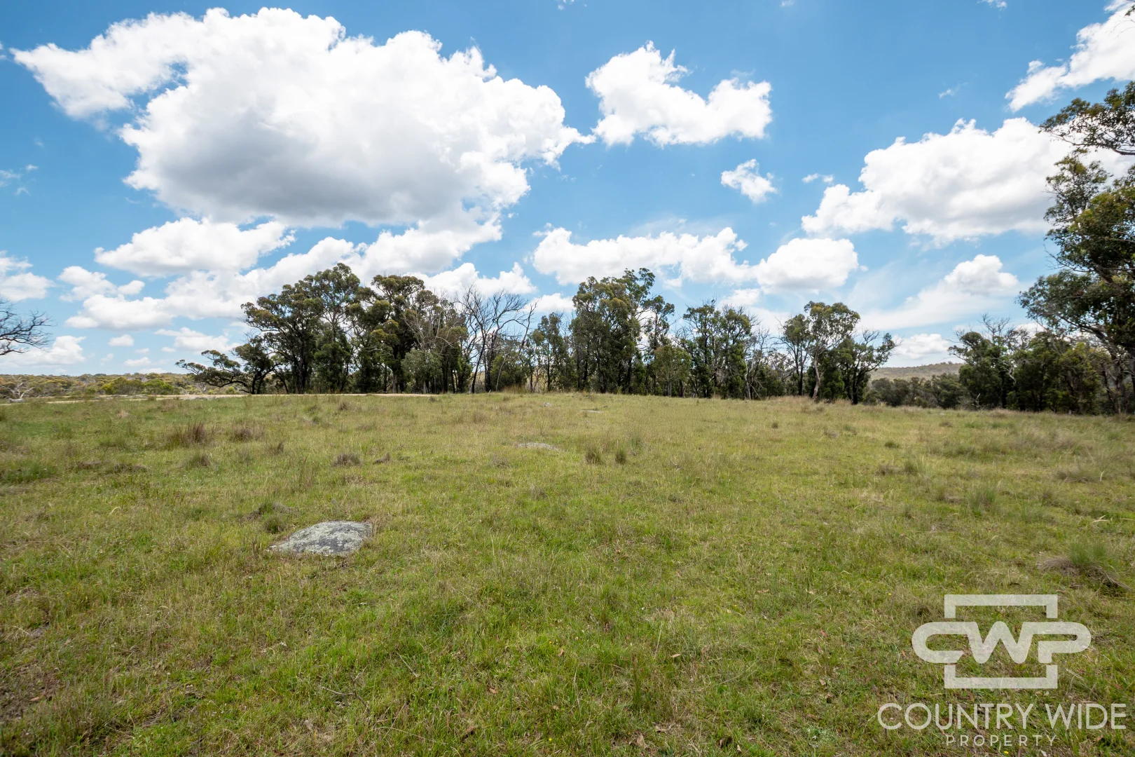 Additional image 6 of 29 Cemetery Rd, Torrington NSW 2371