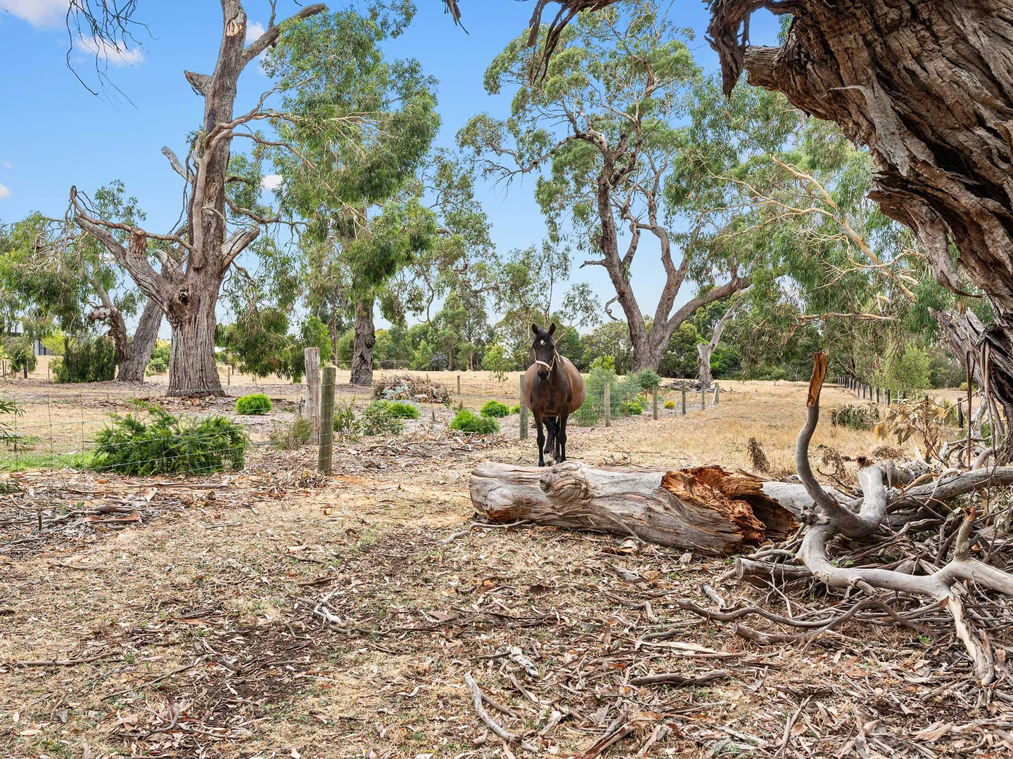 Additional image 5 of 27 Picnic Road, Tarrington VIC 3301