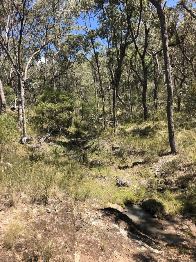 Additional image 6 of Lot 2 Clonmeen Road, Lindesay NSW 2347