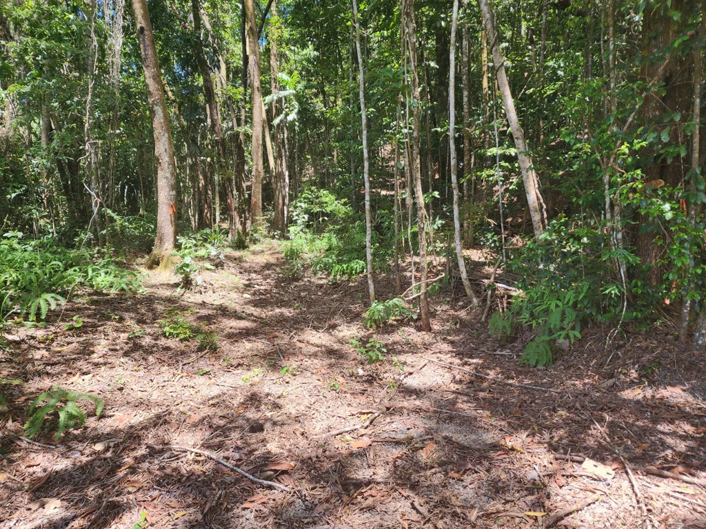 Additional image 4 of 6 Dean Road, Bamboo QLD 4873