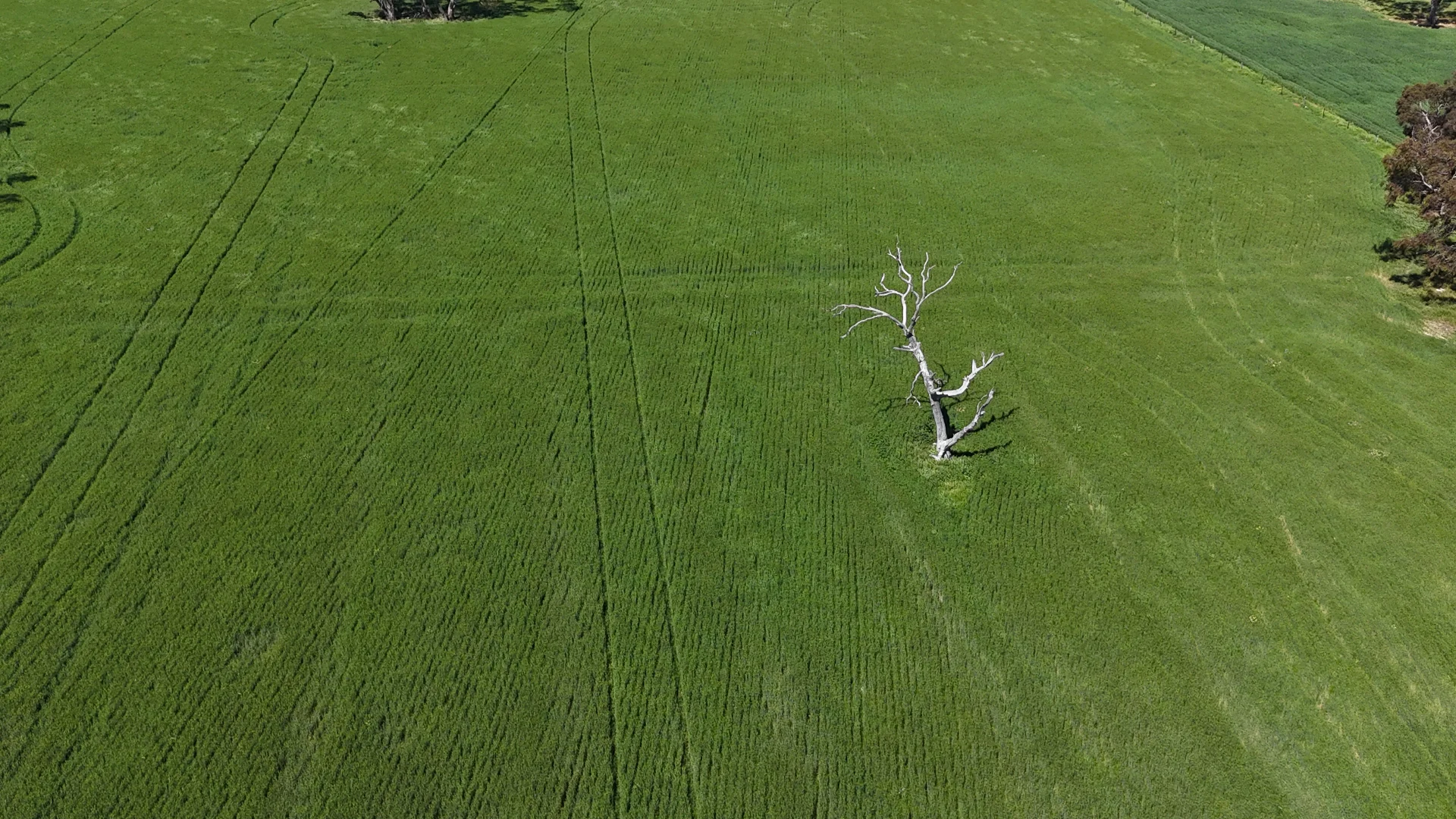 Additional image 2 of 1878 Cannawigara Road, Bordertown SA 5268