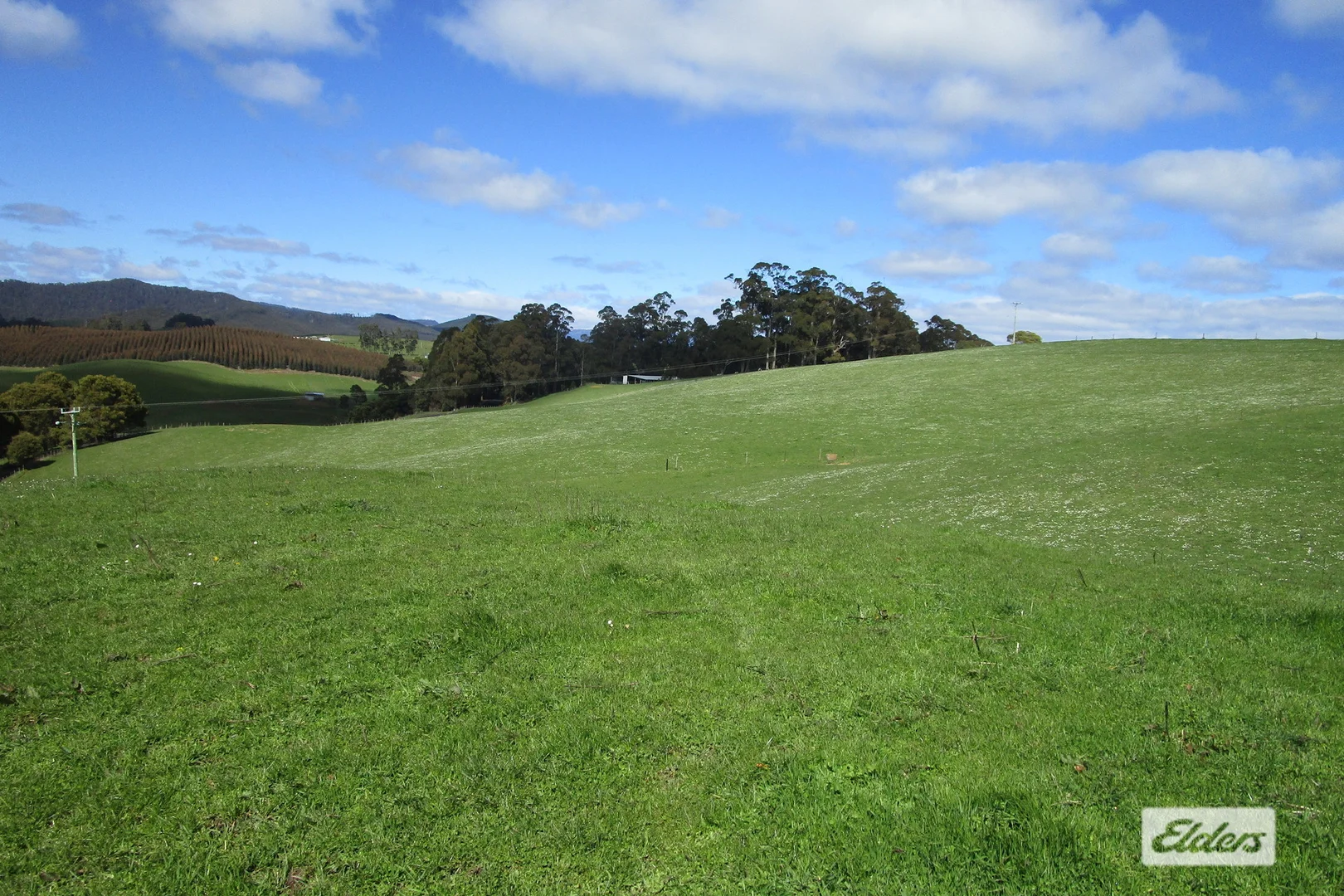 Additional image 7 of 65 Preston-Castra Road, Preston TAS 7315