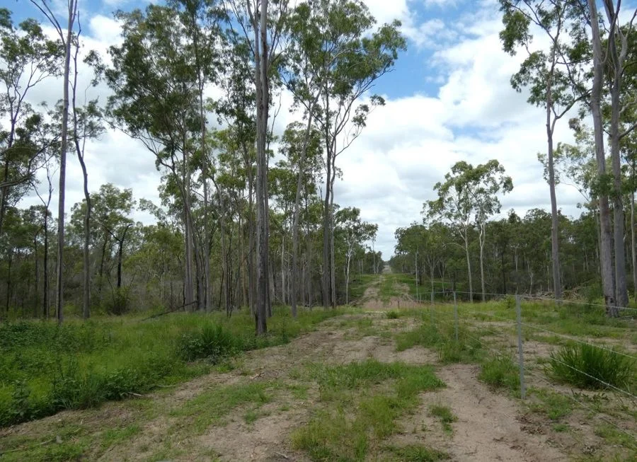 Additional image 24 of Lot 43 Moolyung Road, Waterloo QLD 4673