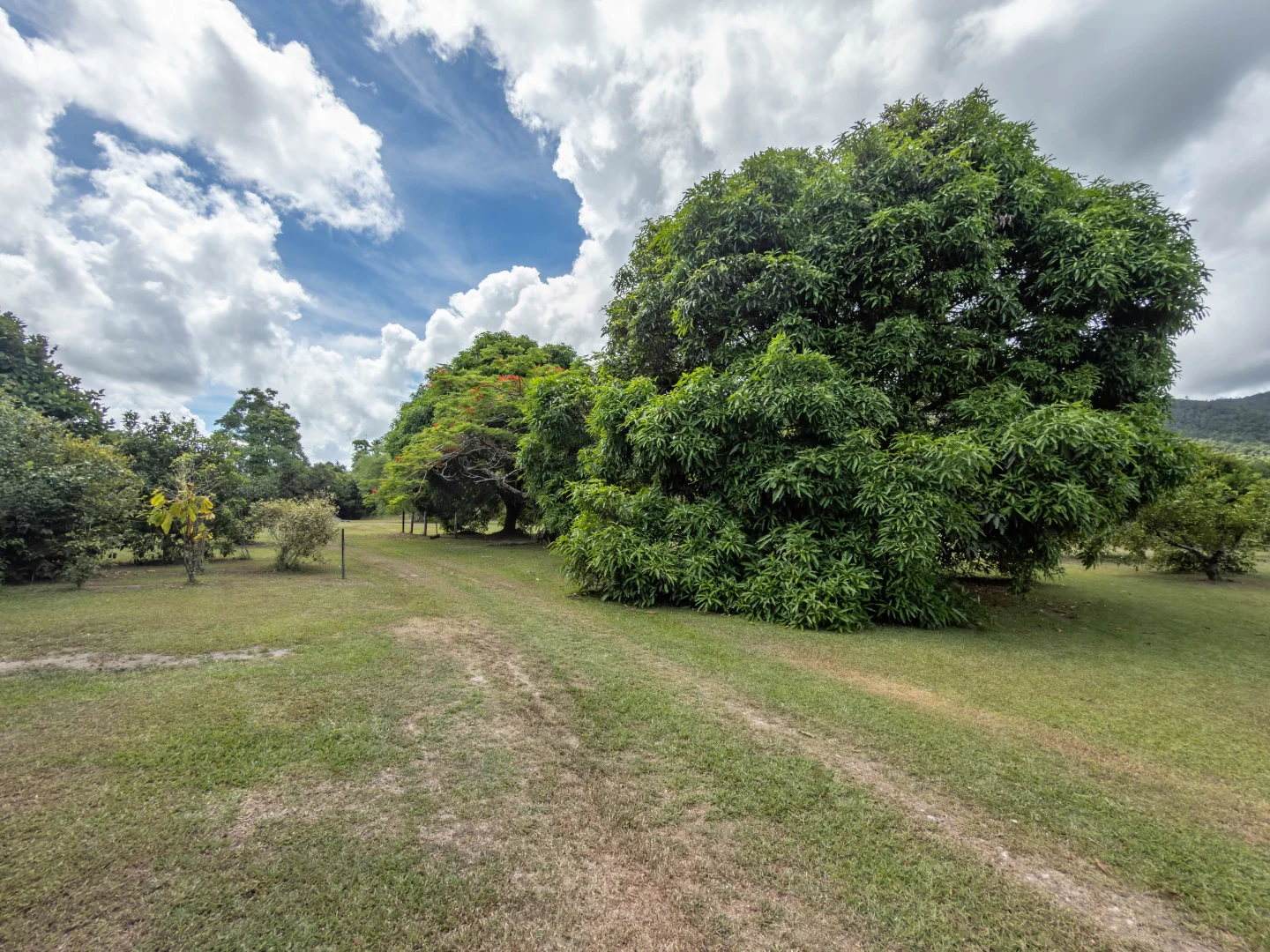 Additional image 32 of 39 O'Hanlon Rd, Feluga QLD 4854