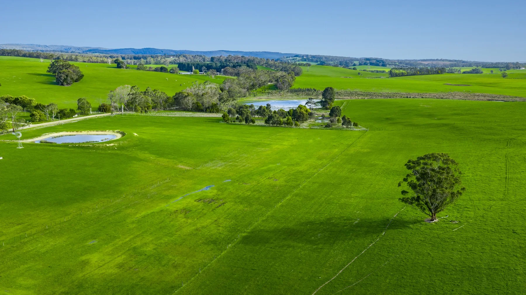 Additional image 2 of 60 Pennyroyal Valley Road, Deans Marsh VIC 3235